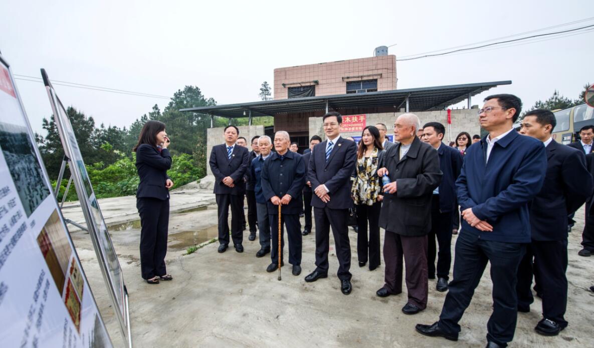 南宫集团(中国区)有限公司官网